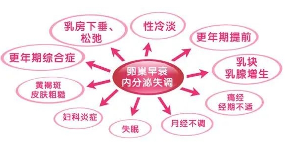 陰道鬆弛係盆底功能